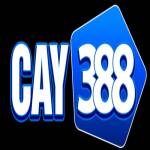 Cay388 cam Profile Picture