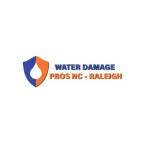 the Water Damage Pros Raleigh nc Profile Picture