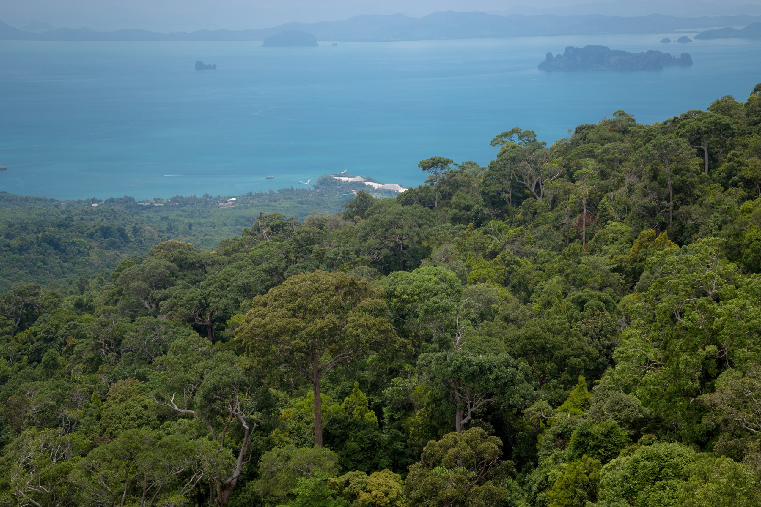 Explore the Lush Flora & Exotic Wildlife of Andaman! - Andaman Love