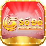 sodocasino fans Profile Picture