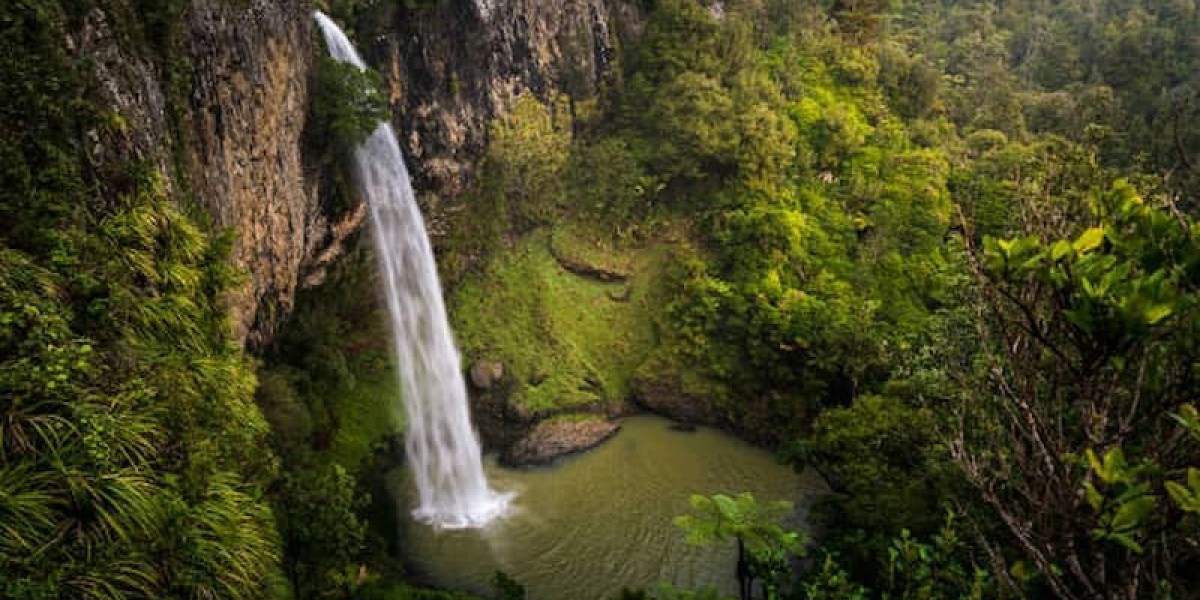 The Best Time to Explore New Zealand: A Seasonal Travel Guide