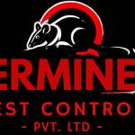 verminex Profile Picture