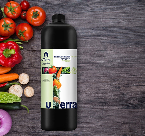 Best Biofertilizers Manufacturers & Supplier In UAE | Biotic Fertilizers | Biofertilizer Companies