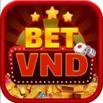 Betvnd88 Profile Picture