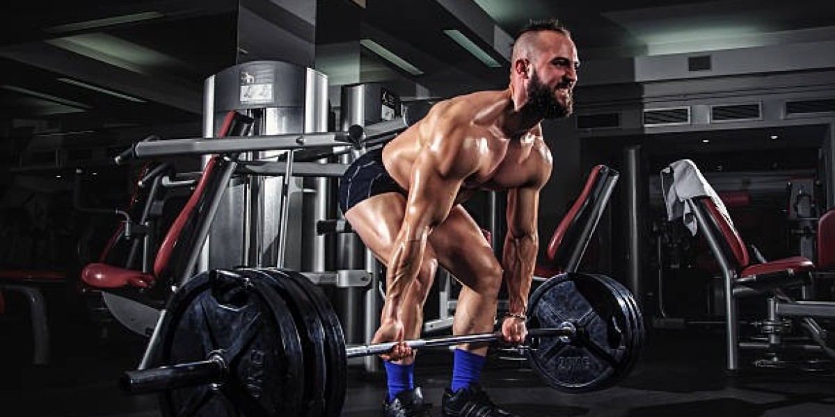 CrazyBulk Bulking Stack Workout Plan Integration