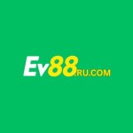 Ev88 ru com Profile Picture