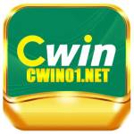 cwin01 net Profile Picture