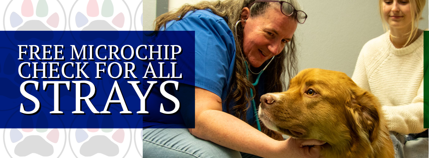 Emergency Vet Midwest City