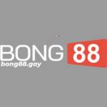 Bong88 Gay Profile Picture