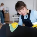 alpinecleaning services Profile Picture