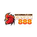 gacam888itcom Profile Picture
