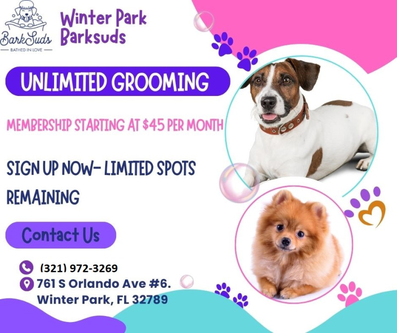 Find the Best Pet Grooming Options in Winter Park: ext_6810449 — LiveJournal