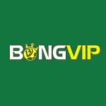 BONGVIP Cổng cá cược đỉnh cao Profile Picture