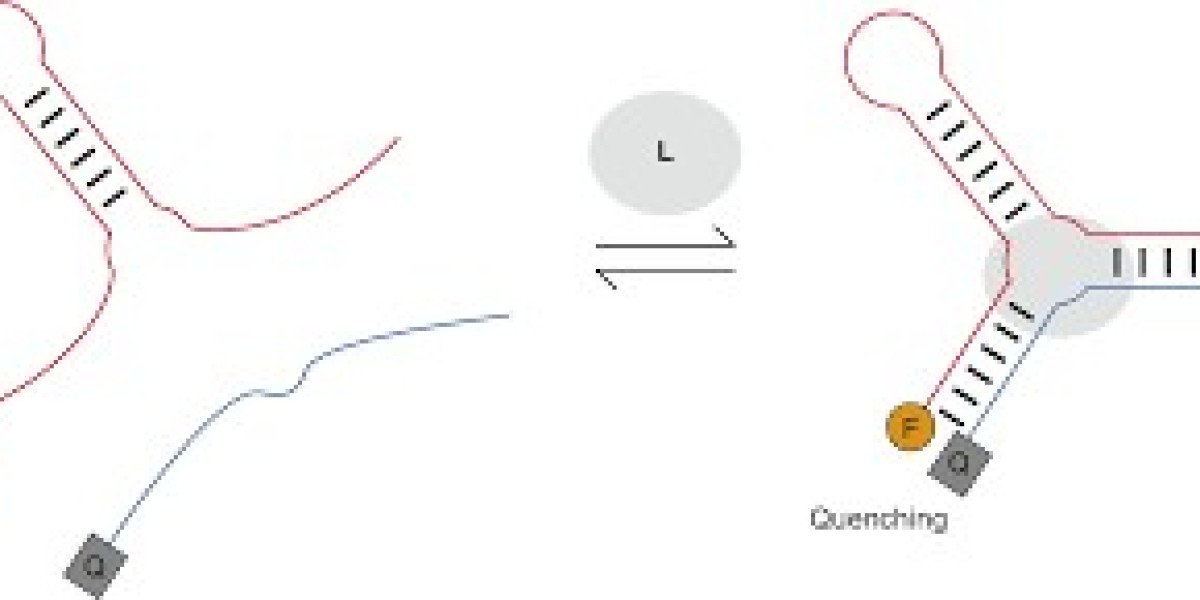 Article Picture