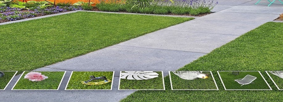 Grass Grass Cover Image
