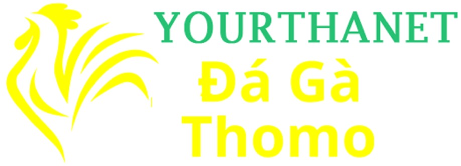 Đá Gà Trực Tiếp Thomo Cover Image