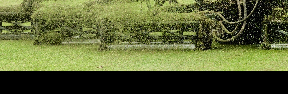 Sherratt Group Ltd Cover Image