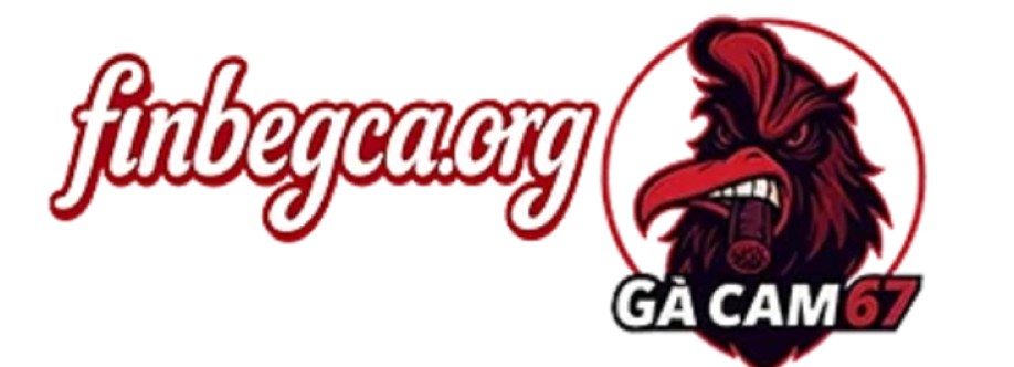 Gà CAM 67 Cover Image