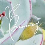 bunneys naturals Profile Picture