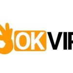 0kvip ventures Profile Picture