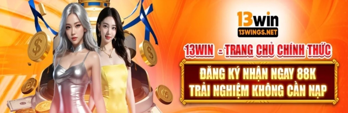 13win111 Cover Image