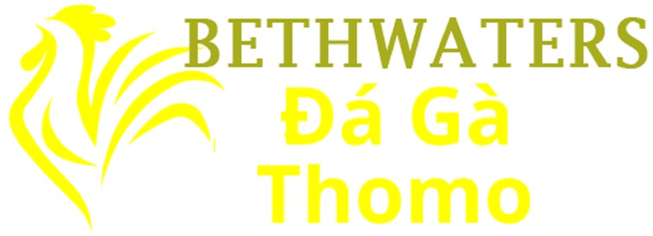 Đá Gà Trực Tiếp Thomo Cover Image