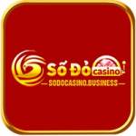 sodocasinobusiness Profile Picture