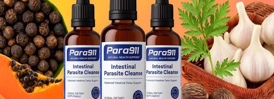 Para 911 Review Cover Image