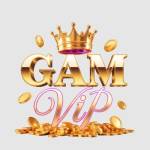 Gamvip Profile Picture