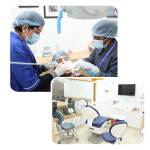 BestdentistinIndia FocusdentalIndia Profile Picture