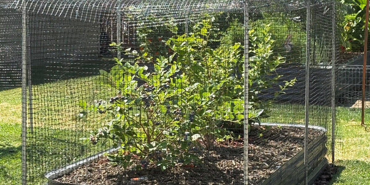 Benefits of Using Metal Raised Garden Beds for Your Backyard