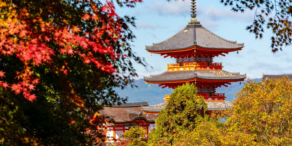 Japan eVisa Made Simple: Step-by-Step Application Guide