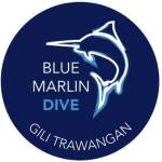 Blue Marlin Dive - Gili Trawangan Profile Picture