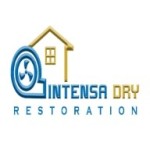 Intensa Dry Profile Picture