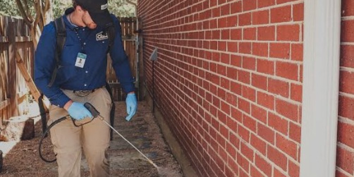 Effective Scorpion Pest Control in Las Vegas – Expert Solutions from Enviro Guard Pest Control