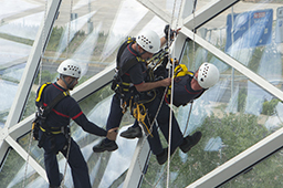 Workers Compensation for Staffing Agencies | Protect Your Business
