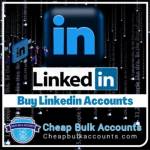 Buy Linkedin Accounts Profile Picture