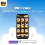 bdggames Profile Picture
