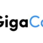 gigacourses Profile Picture