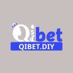 Qibet Diy Profile Picture