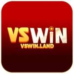 Vswin Profile Picture