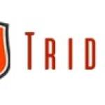 Trident Shipping and Trading PTE LTD Profile Picture