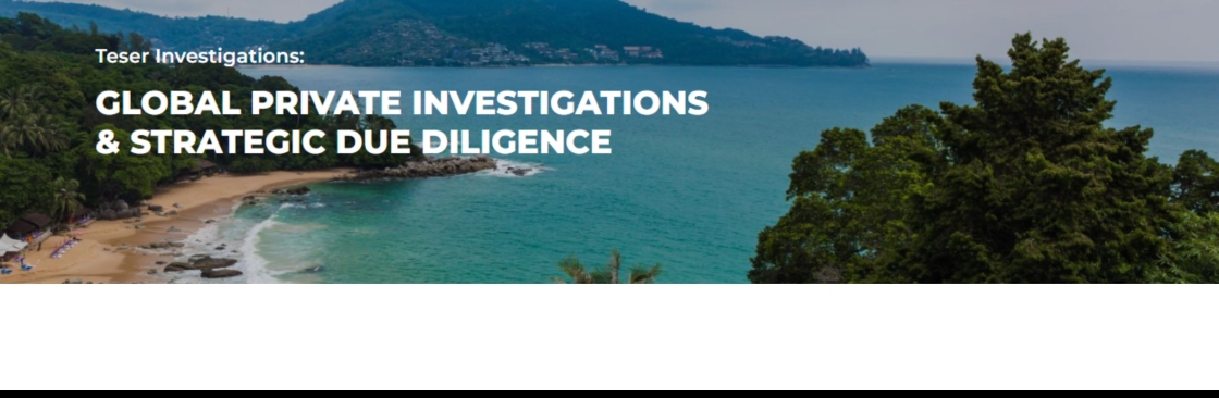 Teser Investigation Cover Image
