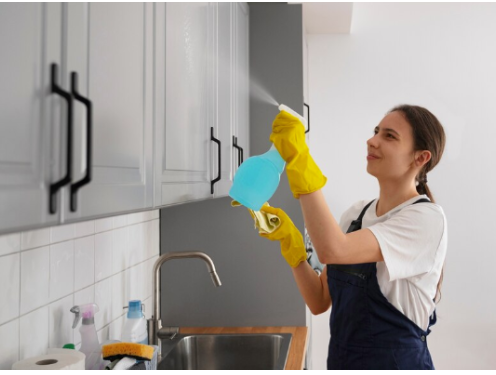 Seattle Deep Cleaning Services: The Definitive Guide to Achieving a Pristine Home - The Global Newz