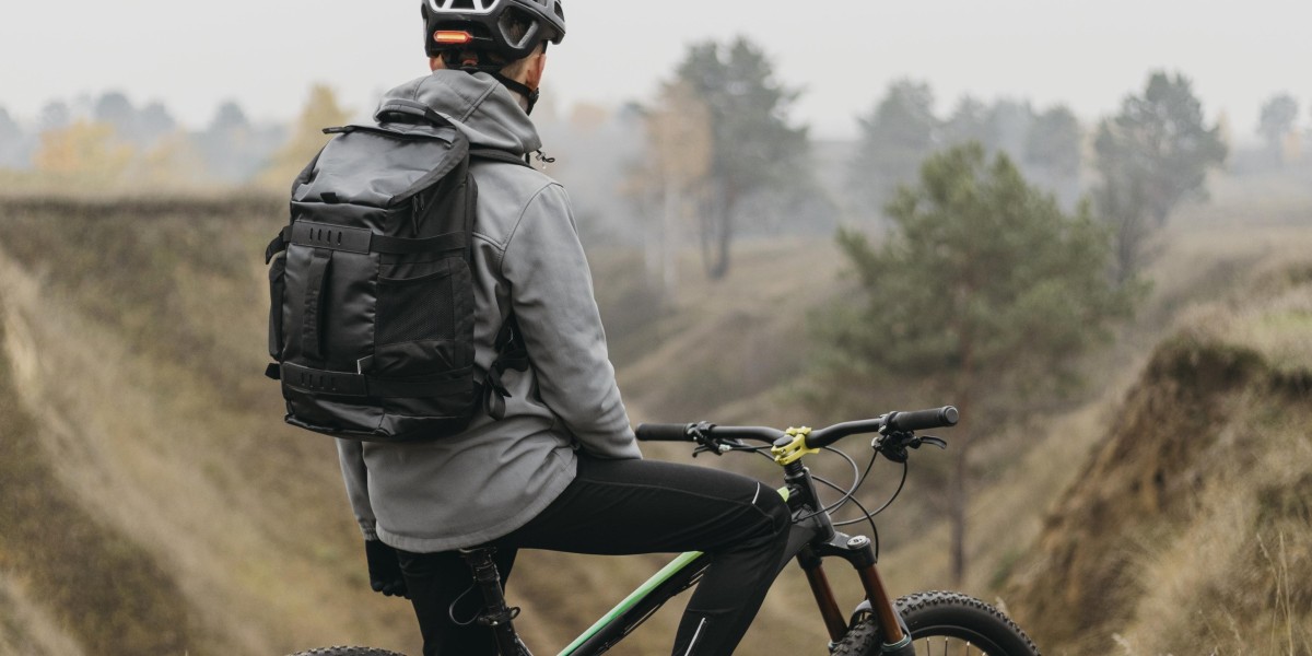 E bike giant mountain bike