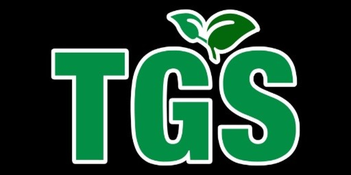 Daycare Centers Near Danbury CT: Growing Seeds Academy’s Commitment to Families