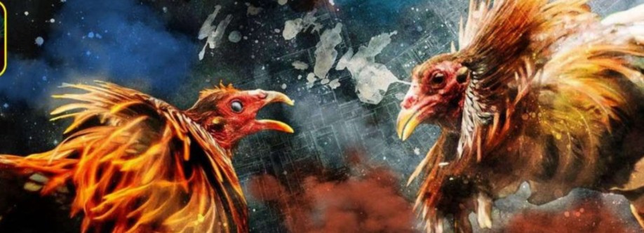 Nhà cái BJ88 Cover Image
