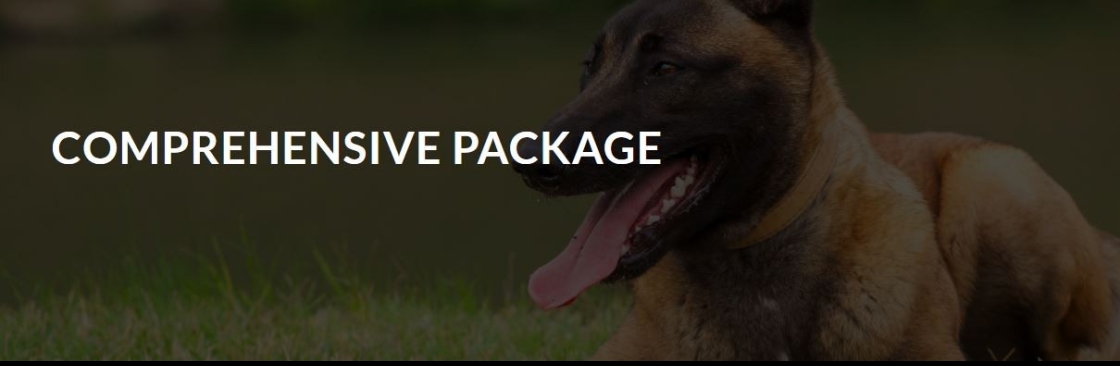 TheDriven Dog Cover Image
