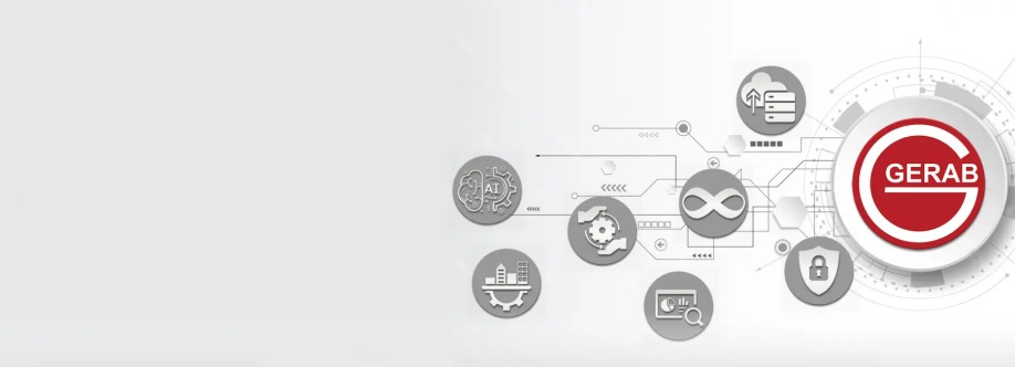 Gerab System Solutions Cover Image