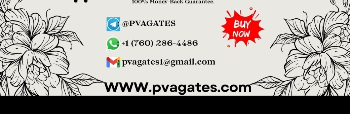 An Irresistible Discount on Bulk PVA Gmail Accounts. Cover Image